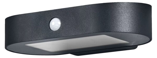 Ledvance-LED Solární nástěnné svítidlo se senzorem ENDURA STYLE LED/4W/3,7V IP44