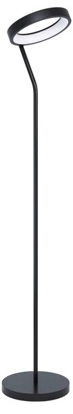 STOJACÍ LAMPA, 27/30,5/169 cm Eglo - Stojací lampy