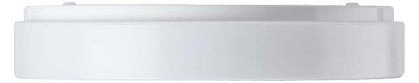 OSMONT DEL53856 DELIA 2 stropní/nástěnné plastové svítidlo IP54 4000 K 34W LED nouzové kombinované 3 h