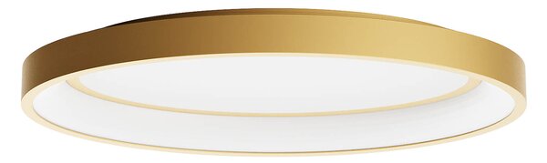 Redo Stropní LED svítidlo NOBU š: 450mm, 40W Barva: Bílá