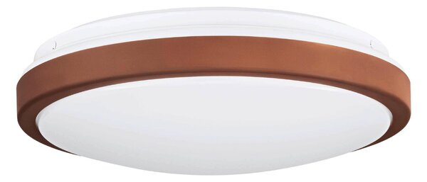 STROPNÍ SVÍTIDLO, 24,5/9 cm Eglo - Online Only svítidla, Online Only