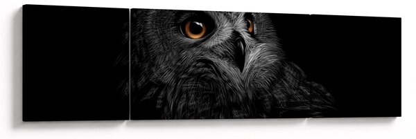 Obraz - Sova, ilustrace (170x50 cm)