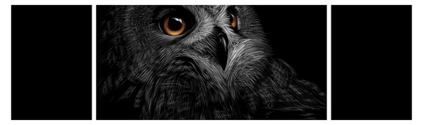 Obraz - Sova, ilustrace (170x50 cm)