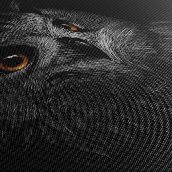 Obraz - Sova, ilustrace (125x70 cm)