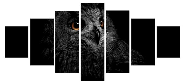 Obraz - Sova, ilustrace (210x100 cm)
