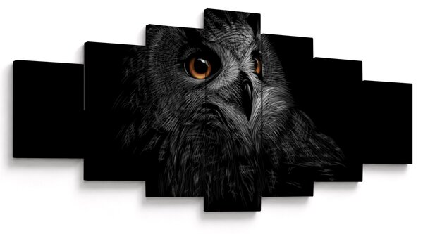 Obraz - Sova, ilustrace (210x100 cm)