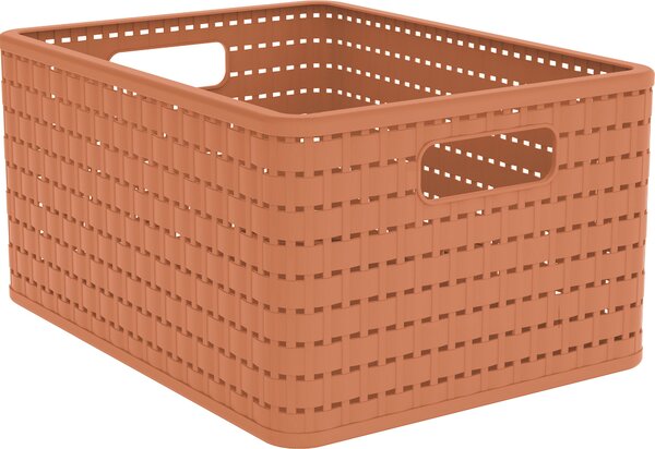 ÚLOŽNÝ BOX plast Rotho - Boxy