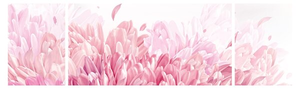 Obraz - Rozkvět (170x50 cm)