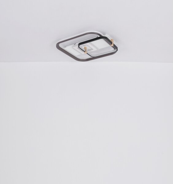 Globo 48459-48 - LED Stmívatelné stropní svítidlo ANI LED/48W/230V 2700-6000K+DO