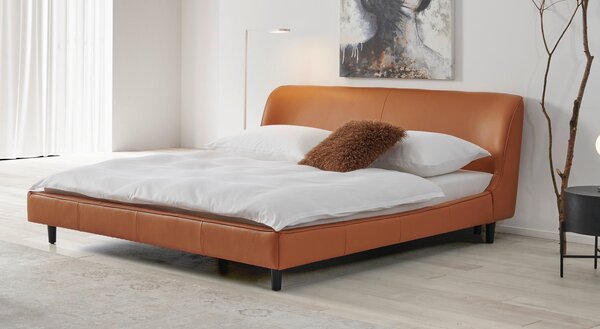 ČALOUNĚNÁ POSTEL, 180/200 cm, hnědá Livetastic - Online Only postele, Online Only