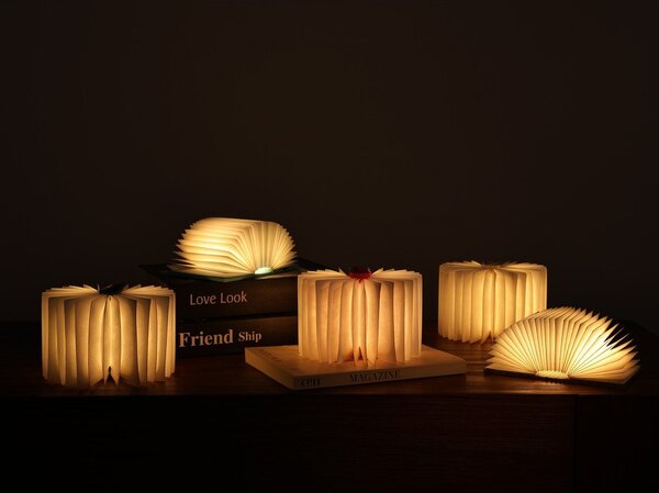Přenosná světelná dekorace na USB v přírodní barvě BookLight – Gingko