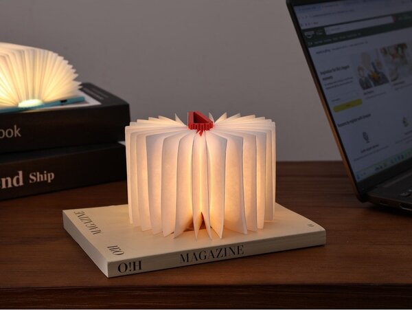 Přenosná světelná dekorace na USB v přírodní barvě BookLight – Gingko