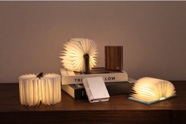 Přenosná světelná dekorace na USB v přírodní barvě BookLight – Gingko