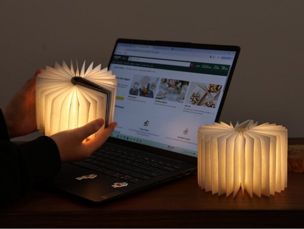 Přenosná světelná dekorace na USB v přírodní barvě BookLight – Gingko