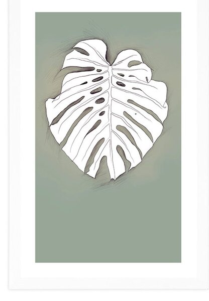 Plakát s paspartou monstera na zeleném podkladu