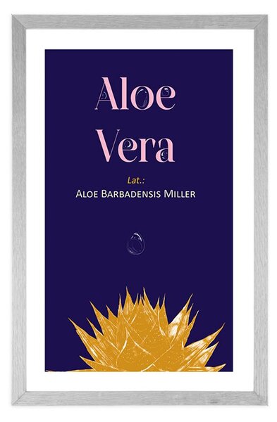 Plakát s paspartou a nápisem Aloe Vera
