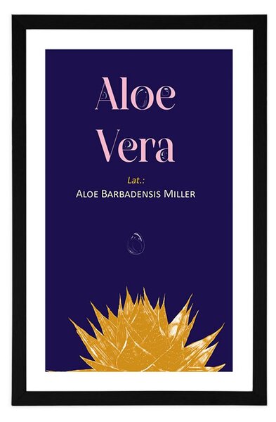 Plakát s paspartou a nápisem Aloe Vera