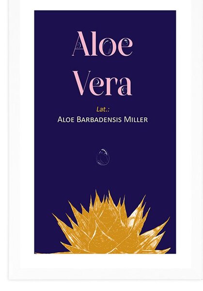 Plakát s paspartou a nápisem Aloe Vera