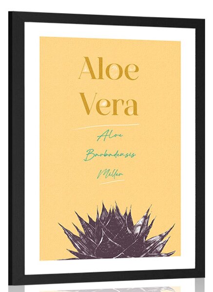 Plakát s paspartou a stylovým nápisem Aloe Vera