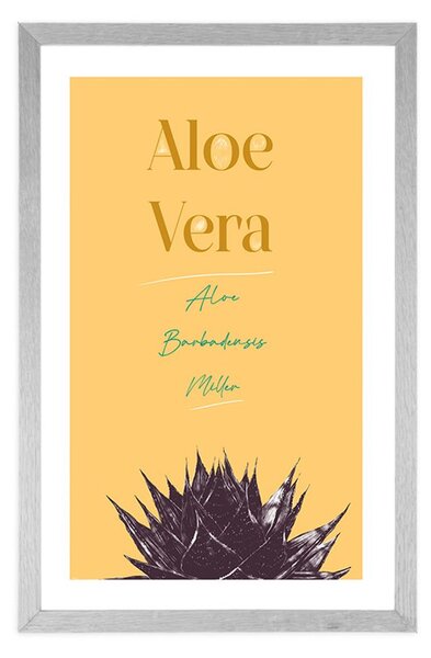 Plakát s paspartou a stylovým nápisem Aloe Vera
