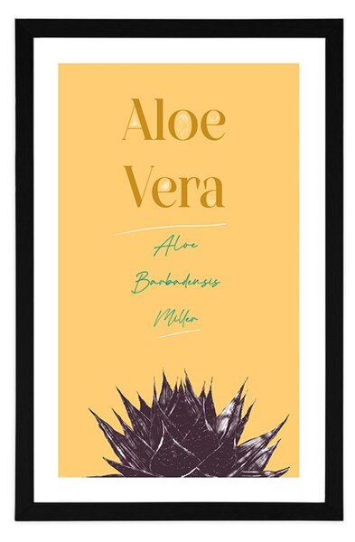 Plakát s paspartou a stylovým nápisem Aloe Vera