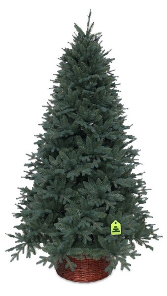 Umělý vánoční stromeček výška 210 cm Silver Spruce – Můj Stromeček