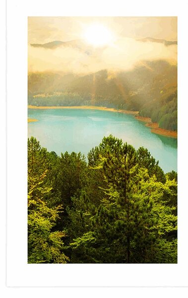 Plakát s paspartou řeka uprostřed zeleného lesa