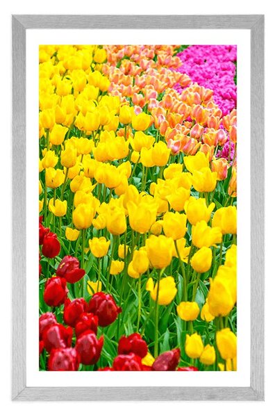 Plakát s paspartou zahrada plná tulipánů