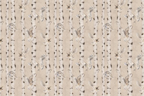 Tapeta břízy - Birch and Owls Beige Materiál: Digitální eko vlies - klasická tapeta nesamolepicí