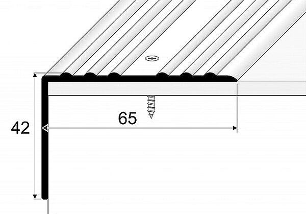 Schodový profil 65 x 42 mm (šroubovací) Stříbro E01