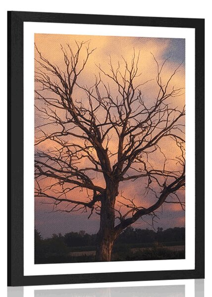 Plakát s paspartou nádherný strom na louce