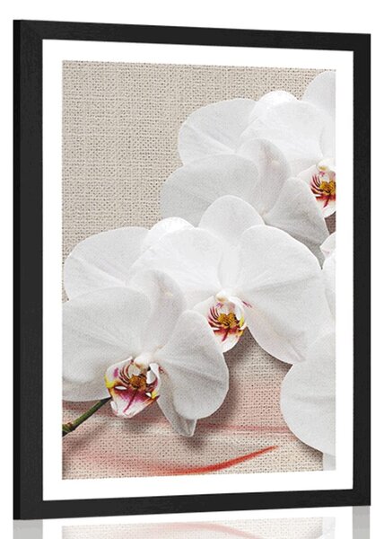 Plakát s paspartou bílá orchidej na plátně