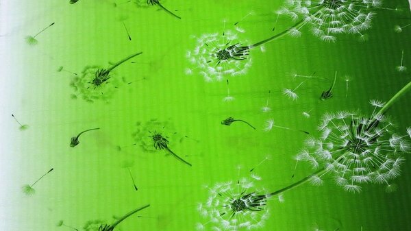 Stanex povlečení krep Pampeliška zelená (LS295) 140x200, 70x90 cm