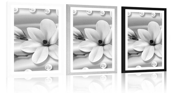 Plakát s paspartou luxusní magnolie s perlami v černobílém provedení