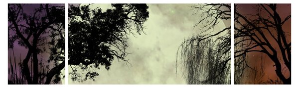 Obraz - Úplněk nad hladinou (170x50 cm)