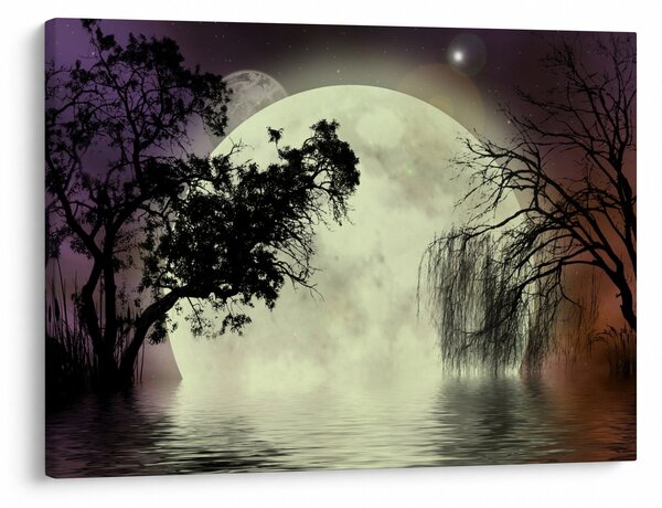 Obraz - Úplněk nad hladinou (70x50 cm)