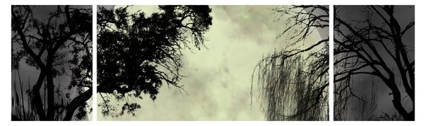 Obraz - Úplněk nad hladinou, černobílá varianta (170x50 cm)