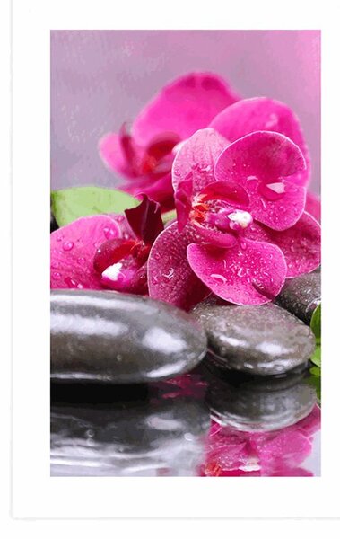 Plakát s paspartou orchidej s nádechem relaxu