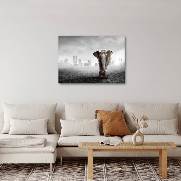 Obraz - Slůně ve velkoměstě, černobílá varianta (70x50 cm)