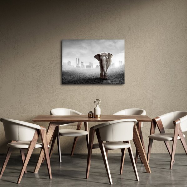 Obraz - Slůně ve velkoměstě, černobílá varianta (70x50 cm)