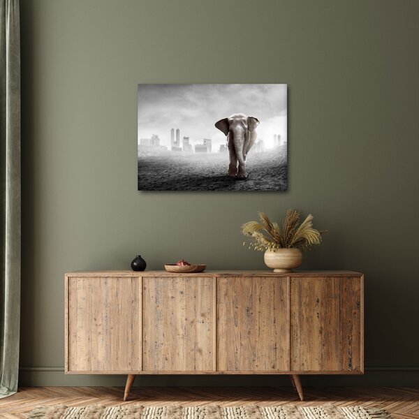 Obraz - Slůně ve velkoměstě, černobílá varianta (70x50 cm)
