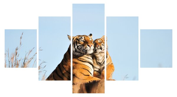 Obraz - Tygřice a její mládě (125x70 cm)