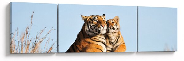 Obraz - Tygřice a její mládě (170x50 cm)
