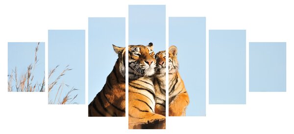 Obraz - Tygřice a její mládě (210x100 cm)