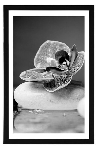 Plakát s paspartou orchidej a Zen kameny v černobílém provedení