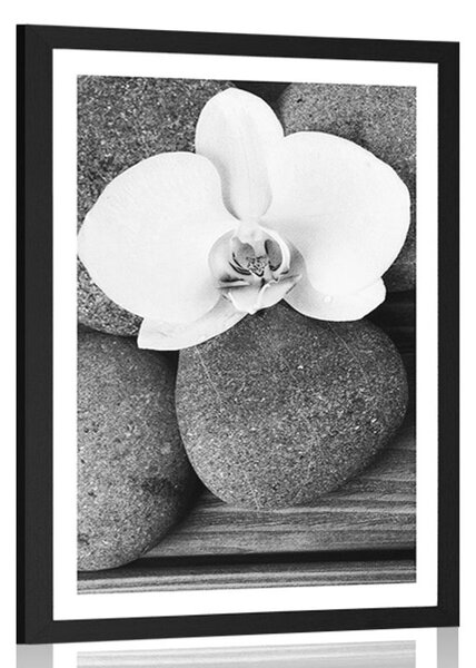 Plakát s paspartou wellness kameny a orchidej na dřevěném pozadí v černobílém provedení