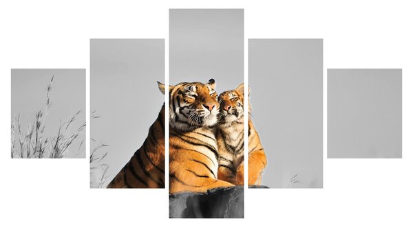 Obraz - Tygřice a její mládě, černobílá varianta (125x70 cm)