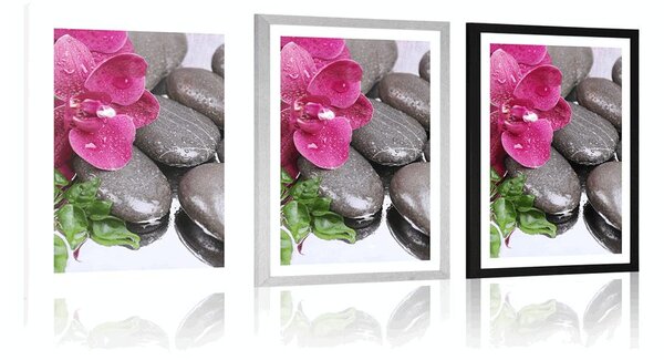 Plakát s paspartou kvetoucí orchidej a wellness kameny
