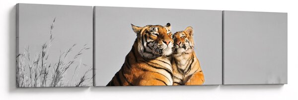 Obraz - Tygřice a její mládě, černobílá varianta (170x50 cm)