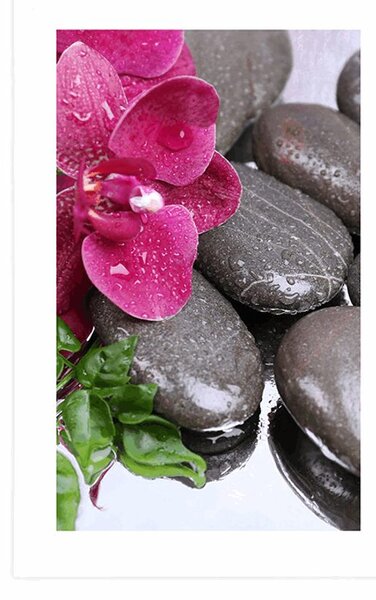 Plakát s paspartou kvetoucí orchidej a wellness kameny